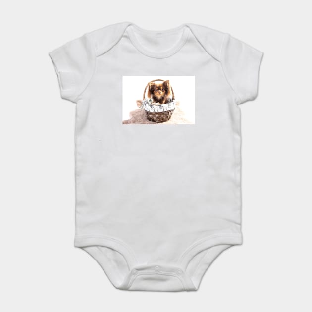 Eva The Chihuahua Baby Bodysuit by tommysphotos